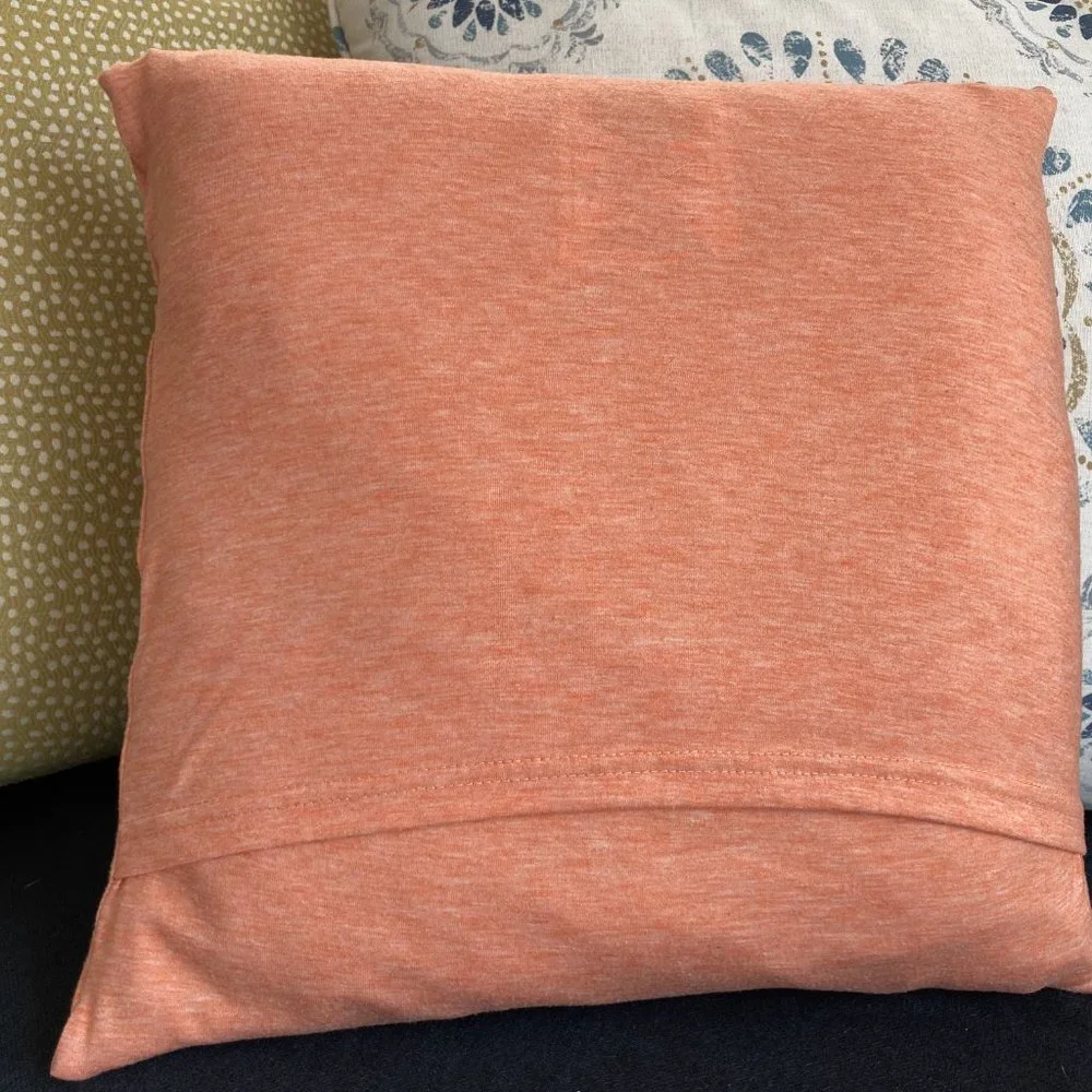 Hocus Pocus Halloween Movie handmade upcycled T-shirt16x16 throw pillow cover